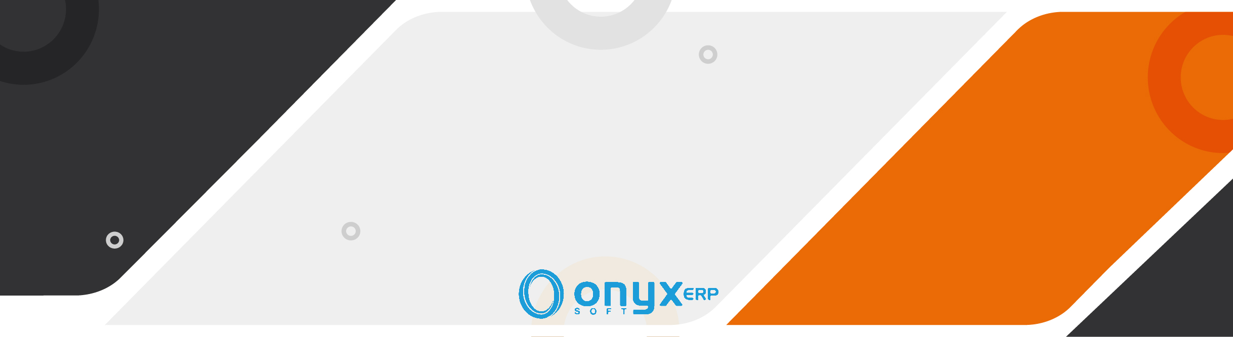 onyx-erp-solucion-diversificada